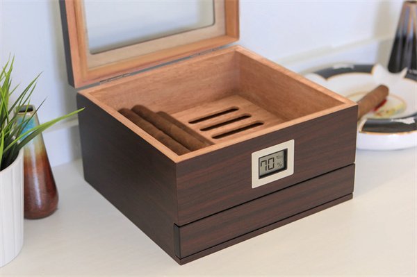 Fall Eleganz Renzo Humidor Überprüfung1