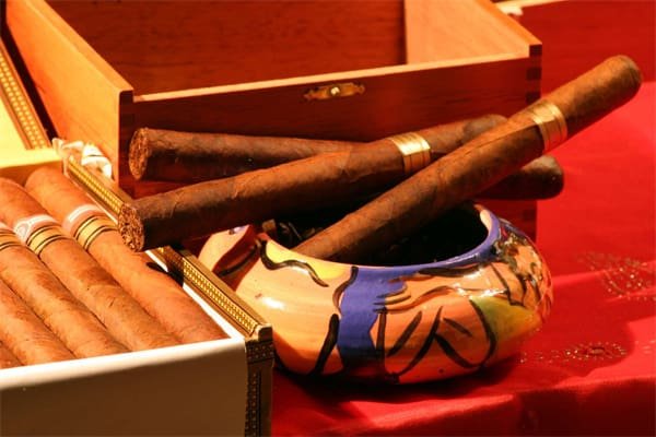 Factors Affecting Cigar Longevity1