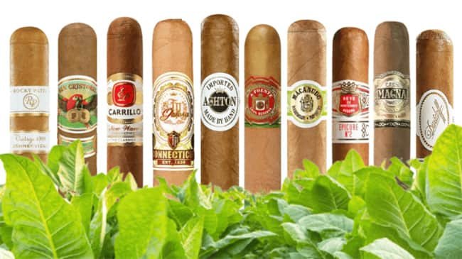 cigar flavor10