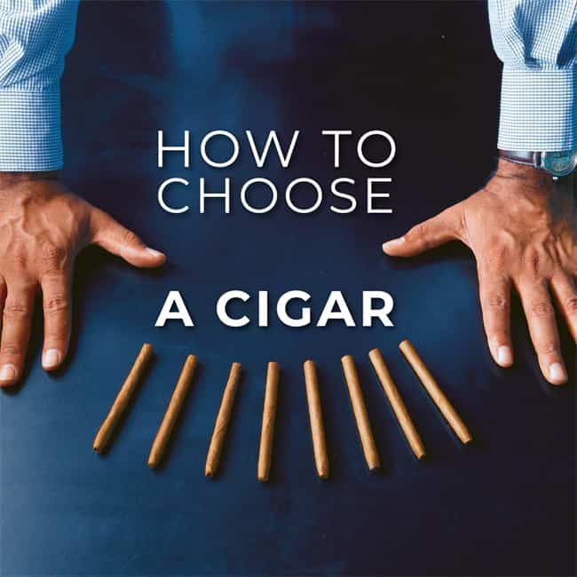 how to choose cigar1