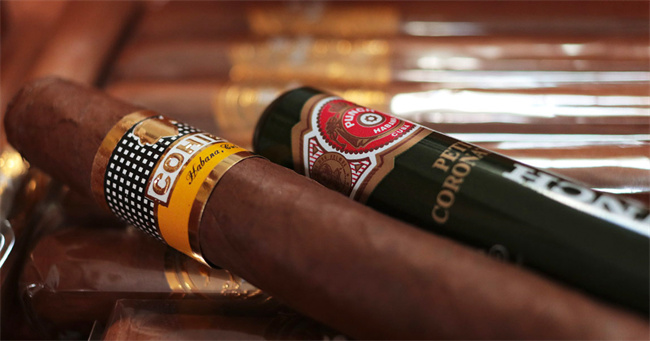 how to choose cigar4