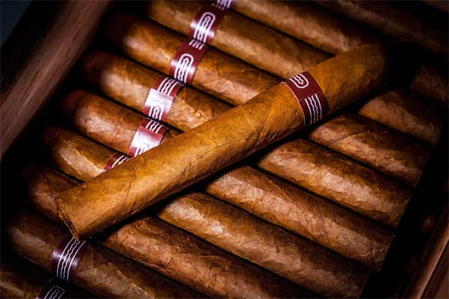 how to choose cigar9