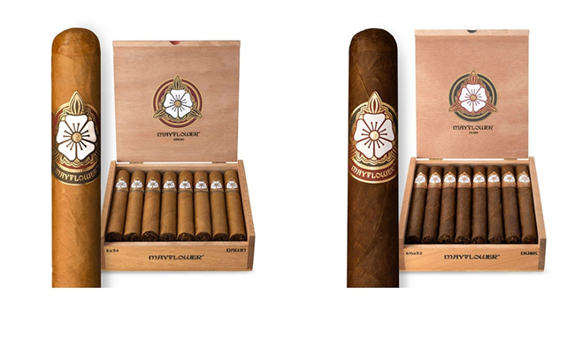 mayflower cigar6