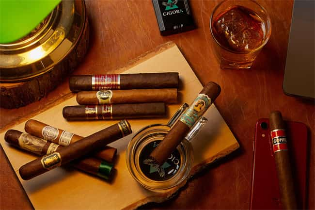 oliva cigarro cisne negro6