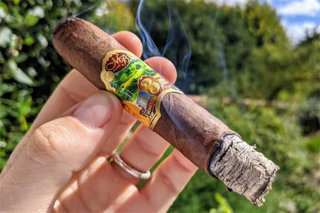 Oliva Master Blends 3 Bewertung8