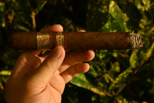 rocky patel royale review9