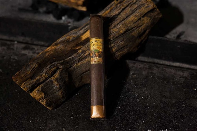 aj fernandez nuevo mundo dorado review9