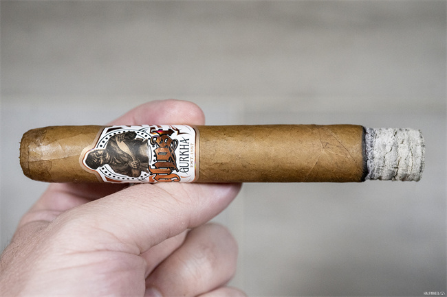 gurkha cigars toro review6