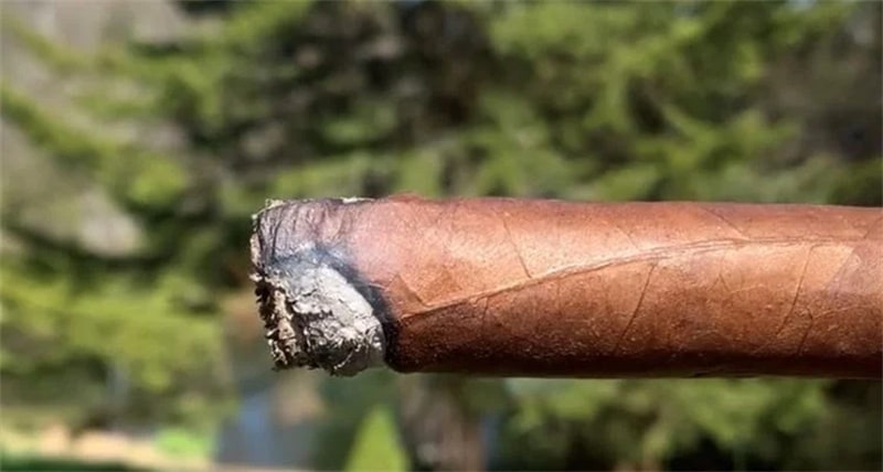 cigar canoeing3