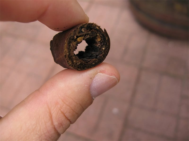 cigar tunneling